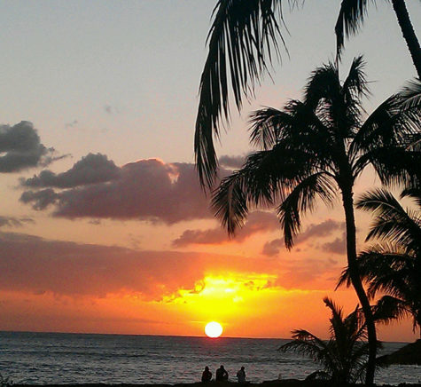 DGS students share their spring break plans