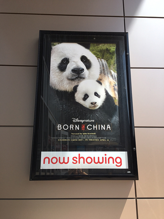 Born in China was boring and cheesy