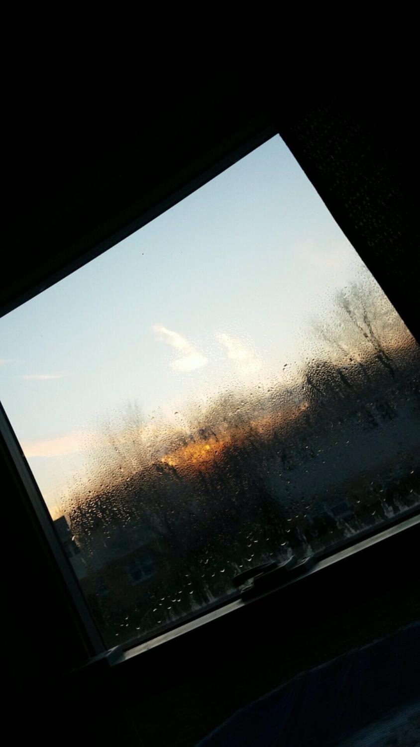 The school bus window in the morning.