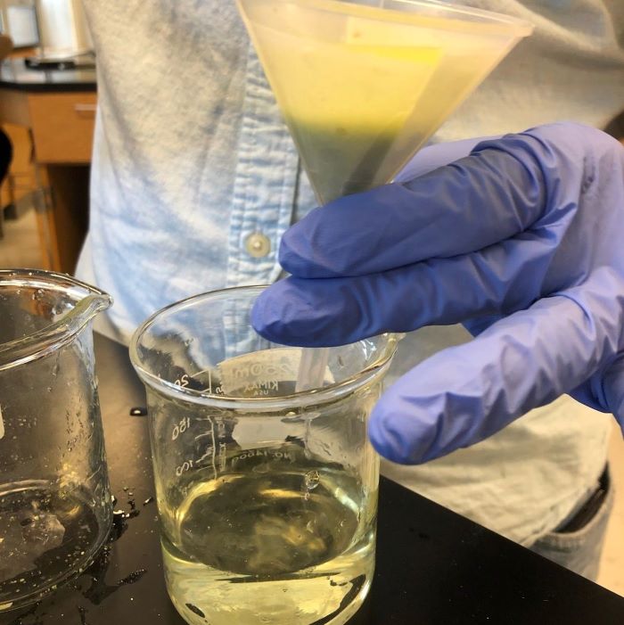 Junior Oliv Yesker and group members Marco Oceguera and Peter Kowalskis research project used organic materials such as fruit peels to purify water.
