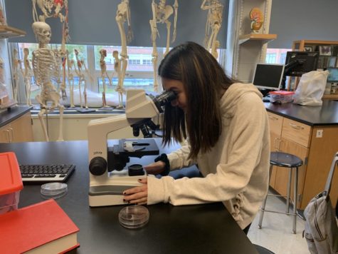 DGS experiments with new biomedical science class
