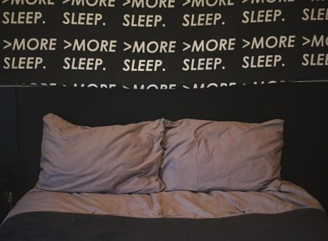 Living the nightmare: Sleep paralysis affects DGS students