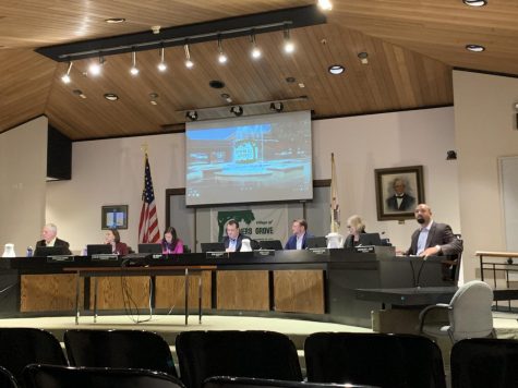 DG Village Council discusses Civil Rights Day, zoning, Project Dandelion