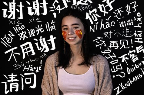 Student diversity is shown through the different languages at DGS