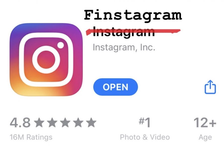 Finstas are taking over tradition Instagram during this period of isolation. 