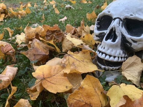 A spooky skeleton from Halloween lies in some leaves for Fall. 