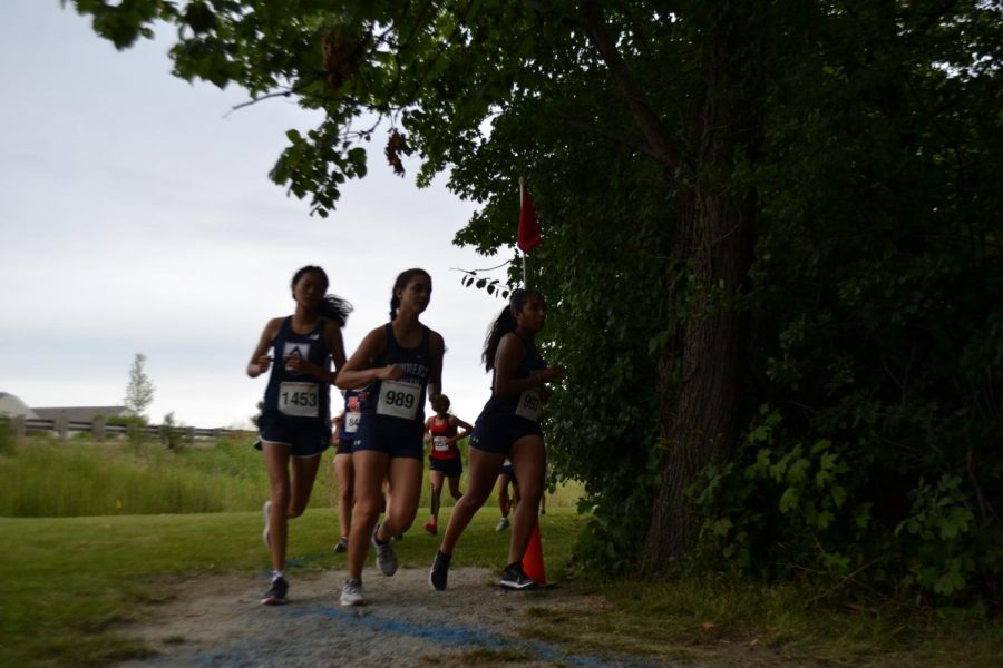 Freshman Mikaela Cresse rounds the corner into the wooded area of the Fenton cross country course.