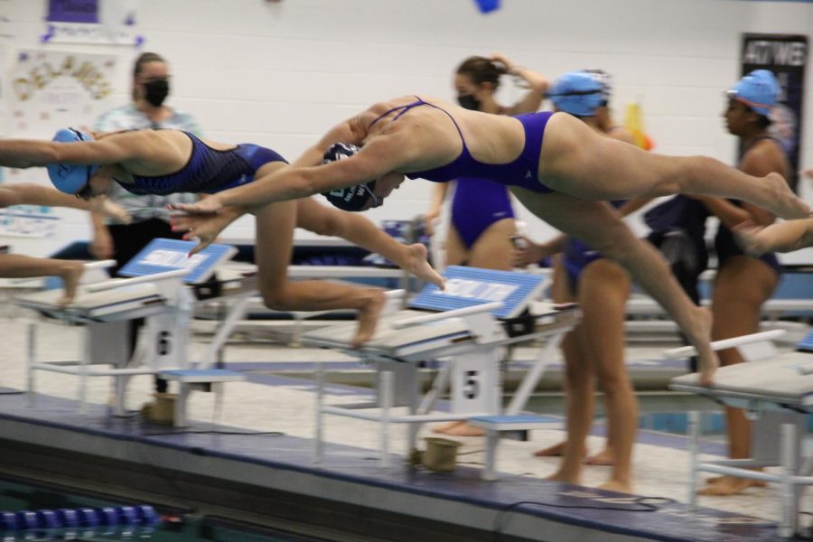 Hailey+Welp+dives+into+her+fourth+year+on+the+DGS+Swim+Team.