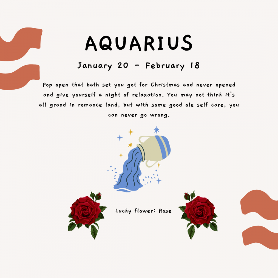 Horoscope+Zodiac+Aquarius+Instagram+Post