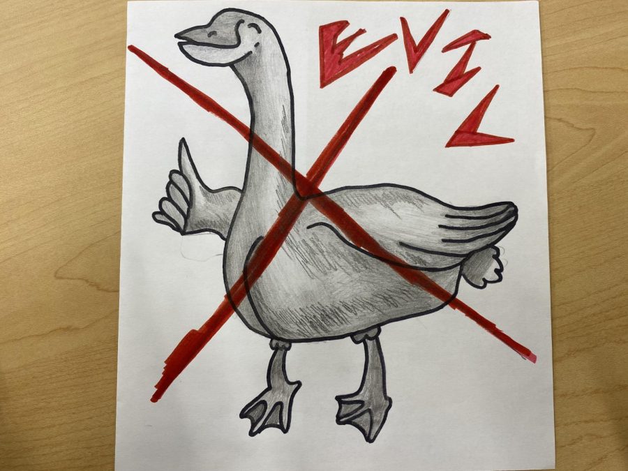 Geese are the bane of my existence, and before you call me crazy, here are 5 reasons why geese are the worst species on the planet.
