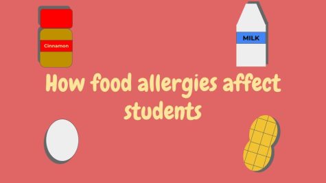 Food allergies affect the way students go about their daily lives in an academic setting. 