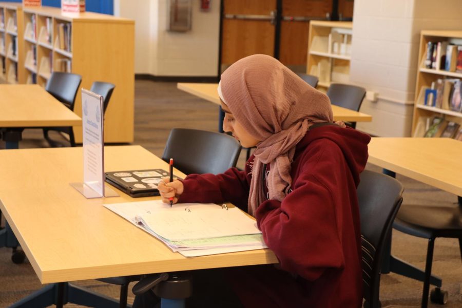 Sophomore Sarah Rashid studies for her math class in the library. 