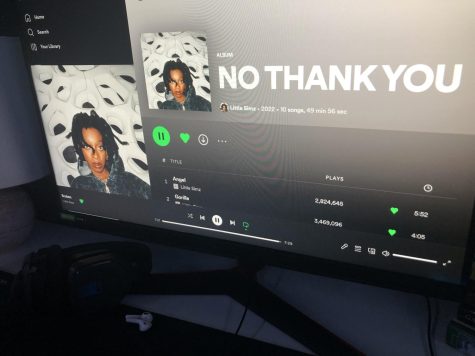 Little Simz displays on NO THANK YOU that even at her most braggadocious, she is still a quick-witted, important figure in hip hop.