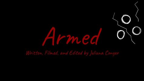 This documentary looks at school shootings in the USA.