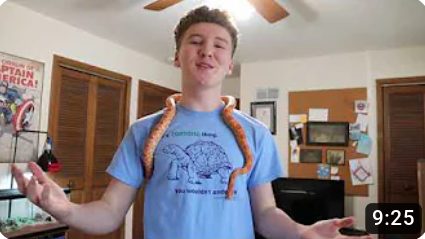 All-Around Reptiles ran by Junior Evan Henderson has amassed millions of views and thousands of subscribers .