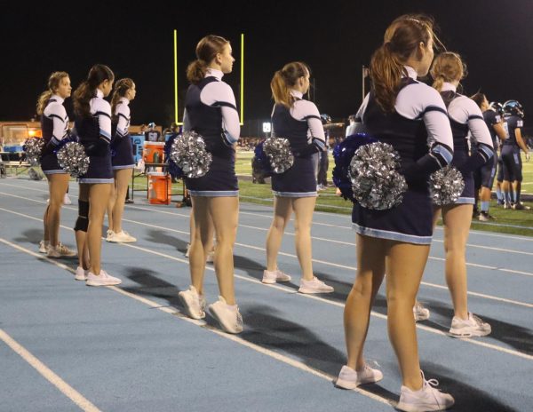 Fillies line up on the sidelines watching the game run its course, supporting players along the way. 