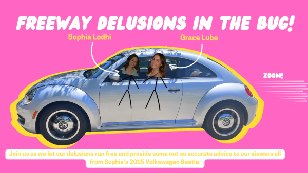 Freeway delusions in the bug: Episode 1