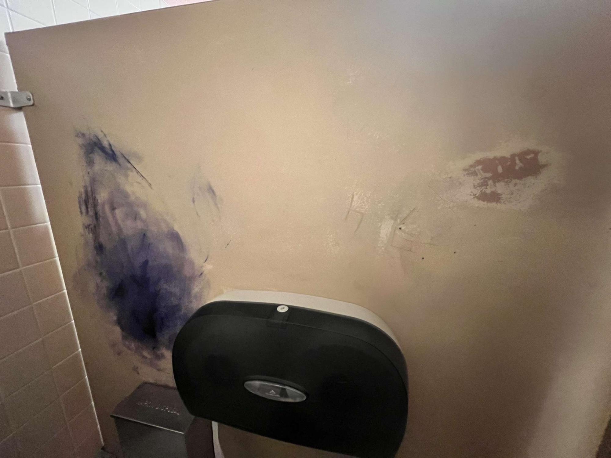 No high school is a stranger to petty instances of vandalism, but no one can question their frequency at DGS. Custodial staff do their best to erase or cover up permanent marker scrawled on stalls in bathrooms.