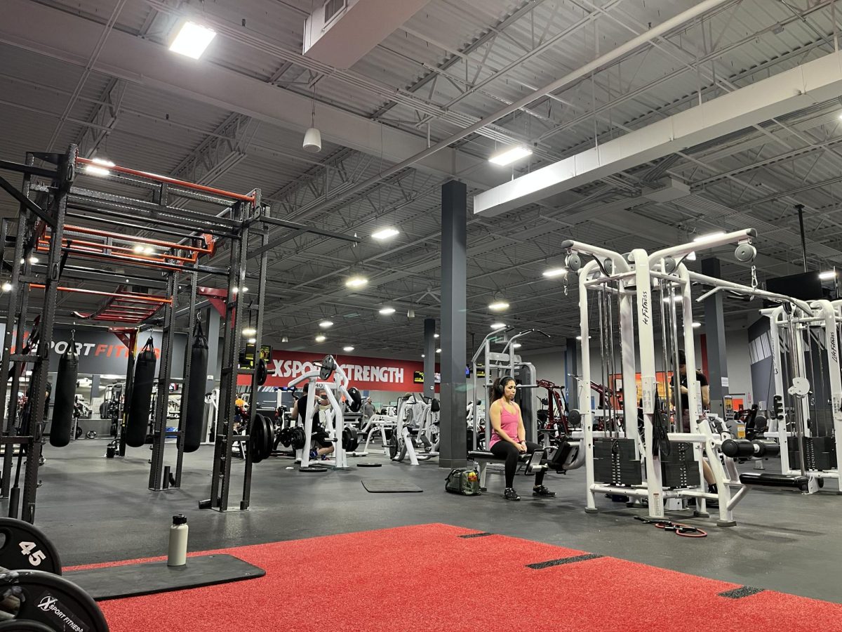 Gyms have many different standards which can affect other's experience in the gym. Many of these red flags tend to dampen experiences at the gym as they're not considerate of the individuals who share the workout space. People should make sure to follow these green flags to make the gym a welcoming and comfortable place for everyone.