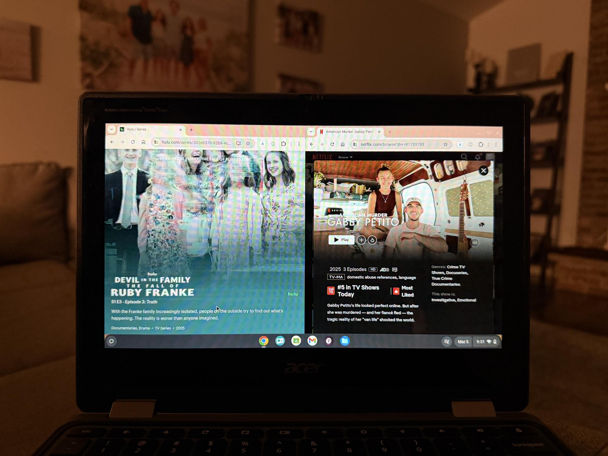 The documentaries "Devil in the Family: The Fall of Ruby Franke", and "American Murder: Gabby Petito" have tracked enormous amount of views from teenage audiences.