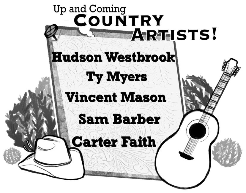 The new wave of young country artists are making their marl in the industry. 