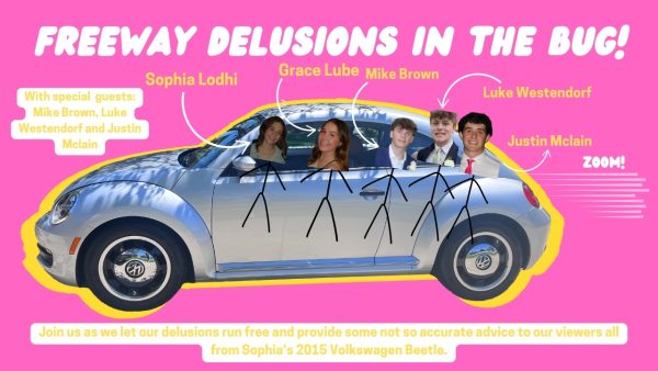 Freeway delusions in the bug: Episode 3