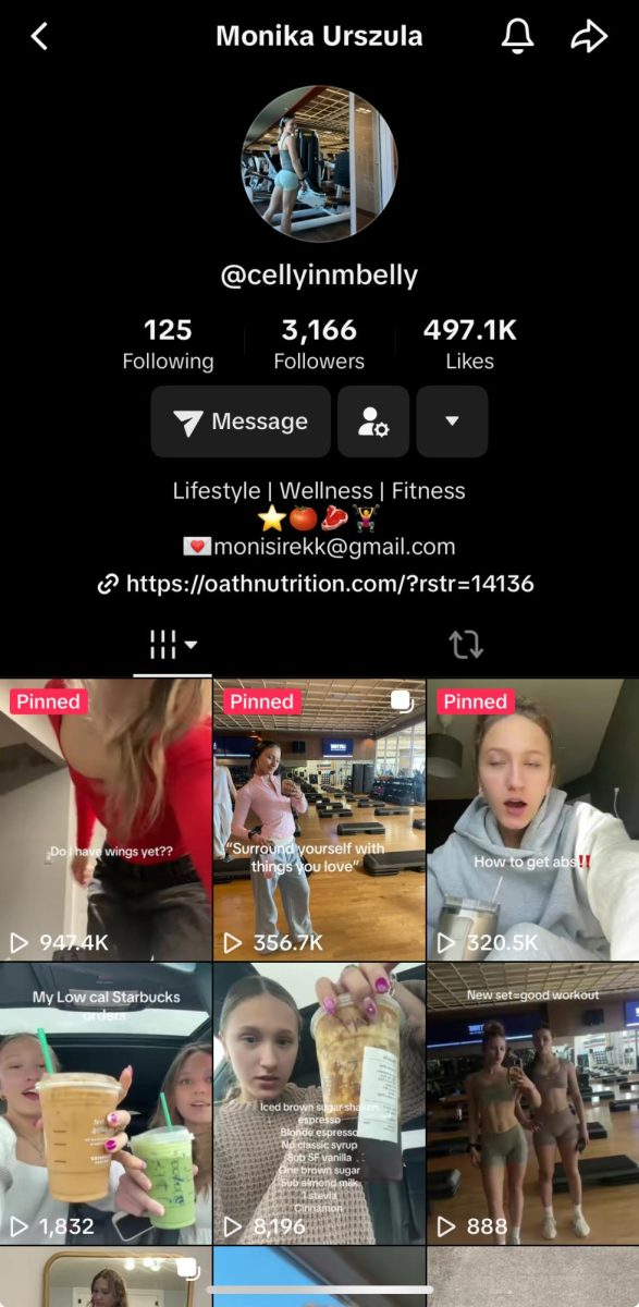 A current screenshot of Urszula's following base on TikTok. 