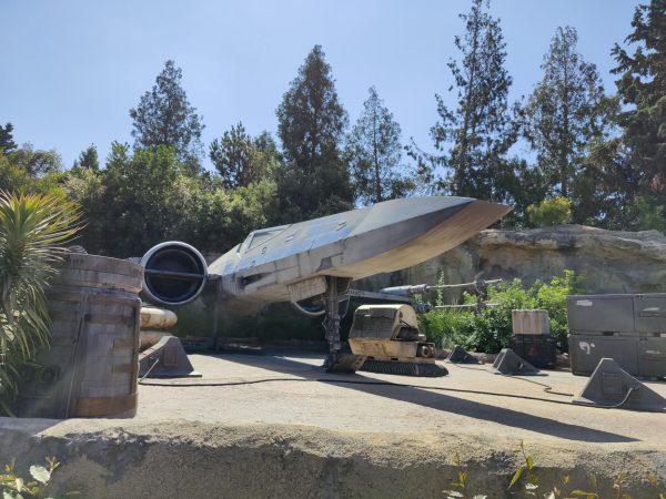 Star Wars is great— but having an entire day dedicated to it is insane.