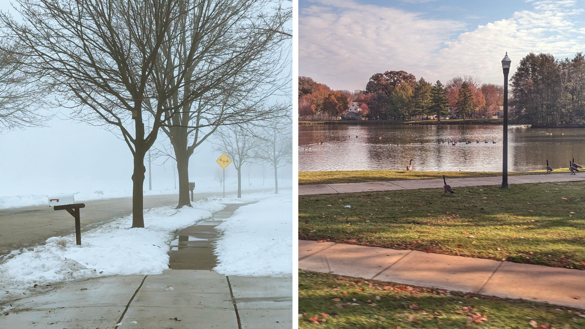 A photo depicting winter and autumn, highlighting the contrasts between the two seasons.
