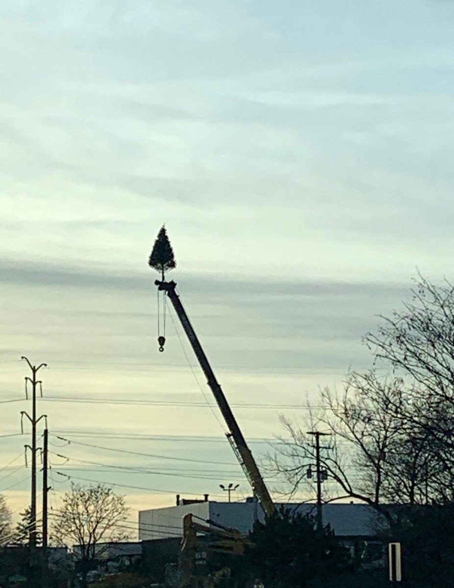 Perna admires the creativity required to build this display alongside the highway.