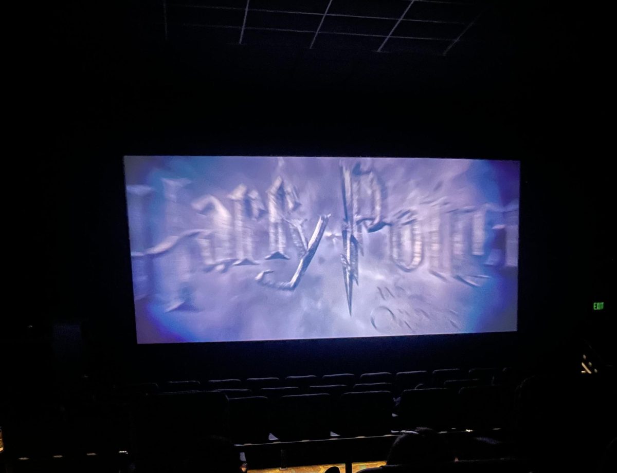 Viewer watch Harry Potter in movie theater 