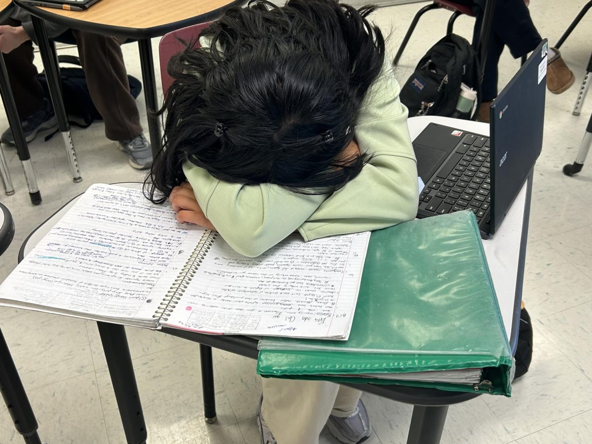 Senior Zahra Ali burned out from school, showcasing another case of senioritis 