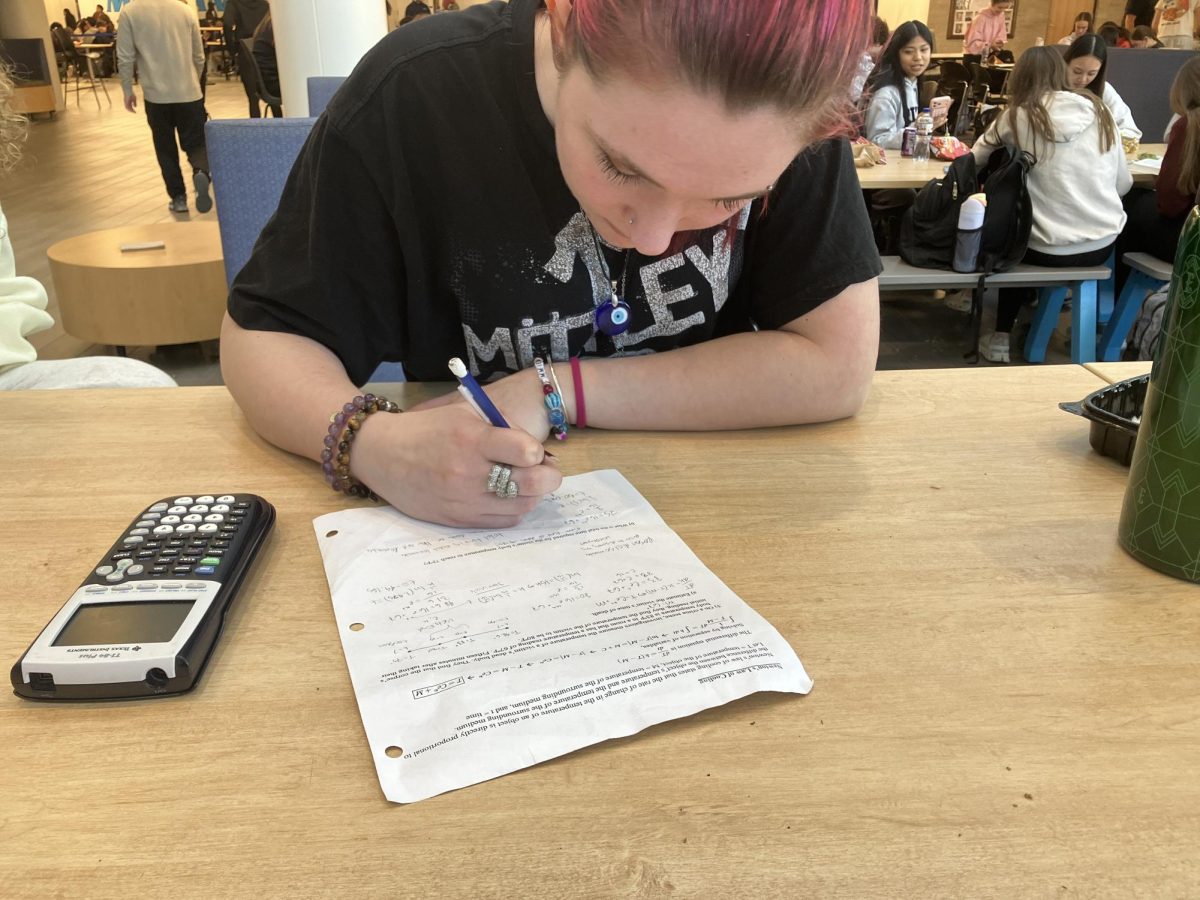 Neurodivergent students work to be successful while facing personal challenges.