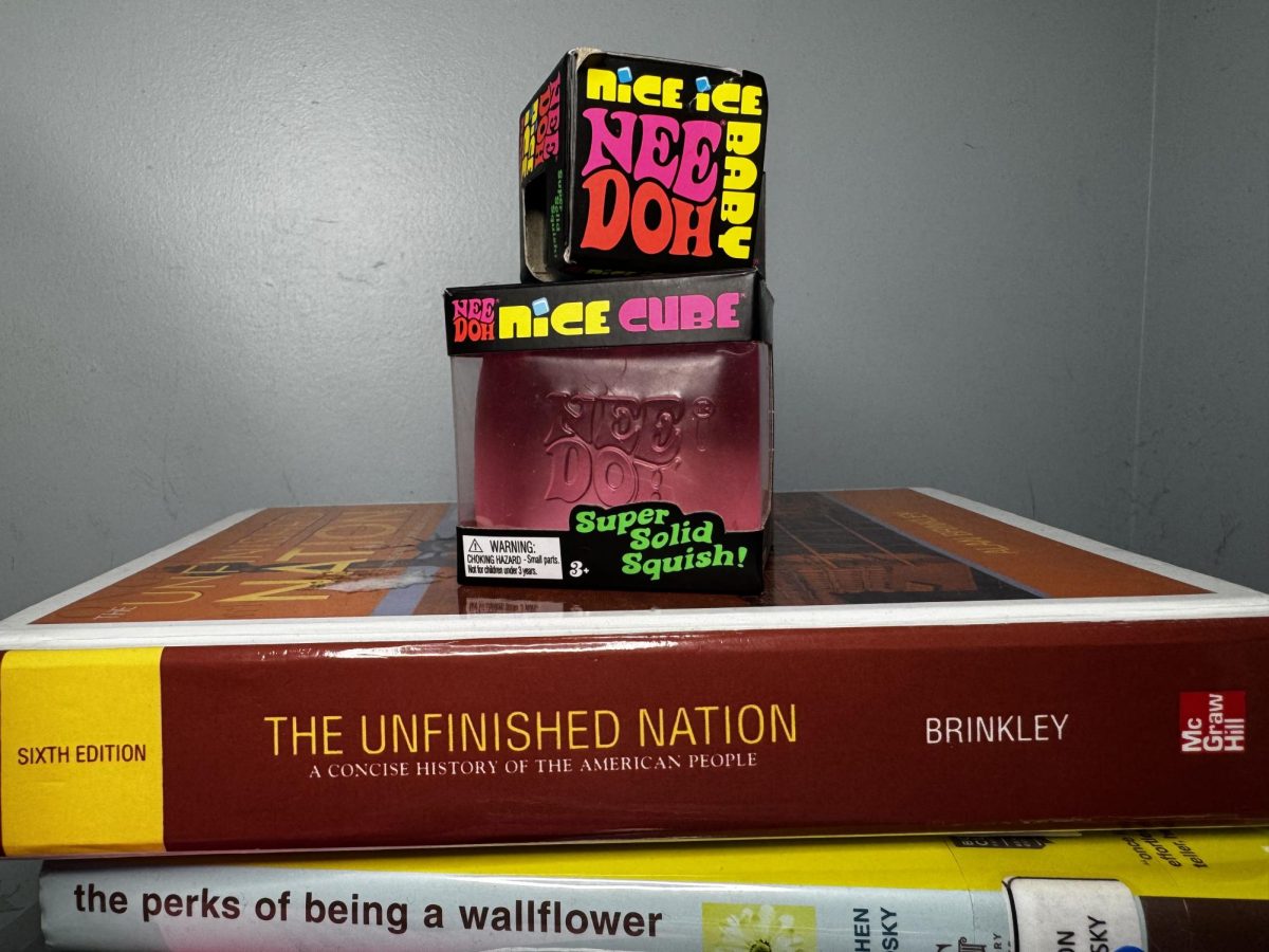 NeeDohs offer comfort, contrasting the pile of textbooks they sit up on.